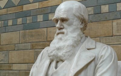 Darwin en God gaan prima samen