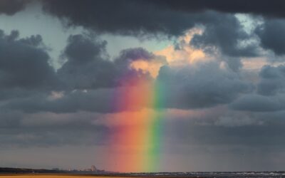 Vragen op Refoweb