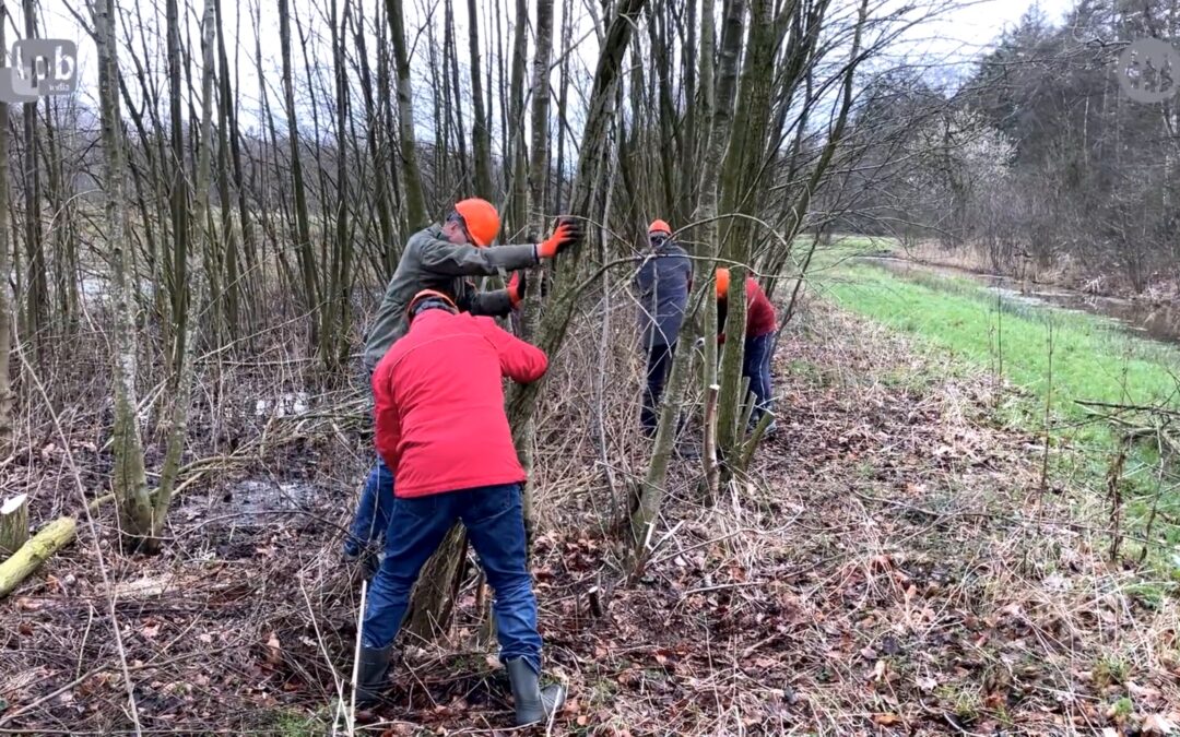 Stille getuige, belofte van eeuwig leven