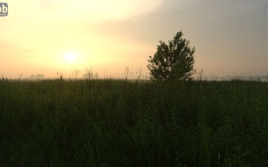 ‘Compleet’ genieten van het Lauwersmeer