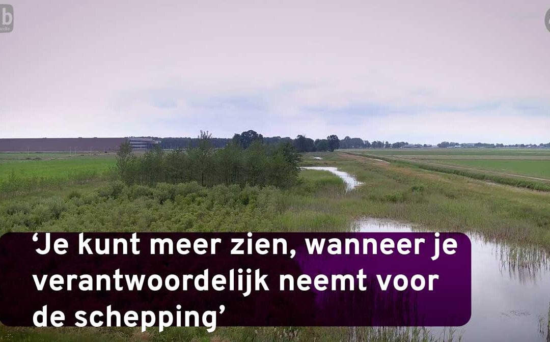 Je ziet meer, wanneer je verantwoordelijkheid neemt