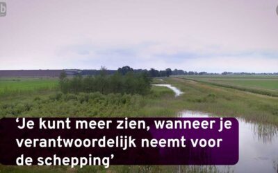 Je ziet meer, wanneer je verantwoordelijkheid neemt