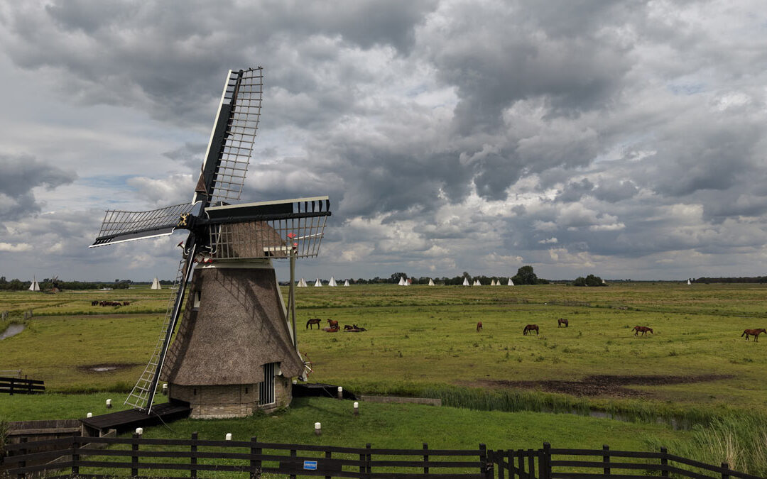 Dag 4: Word je chagrijnig als de zon niet schijnt?