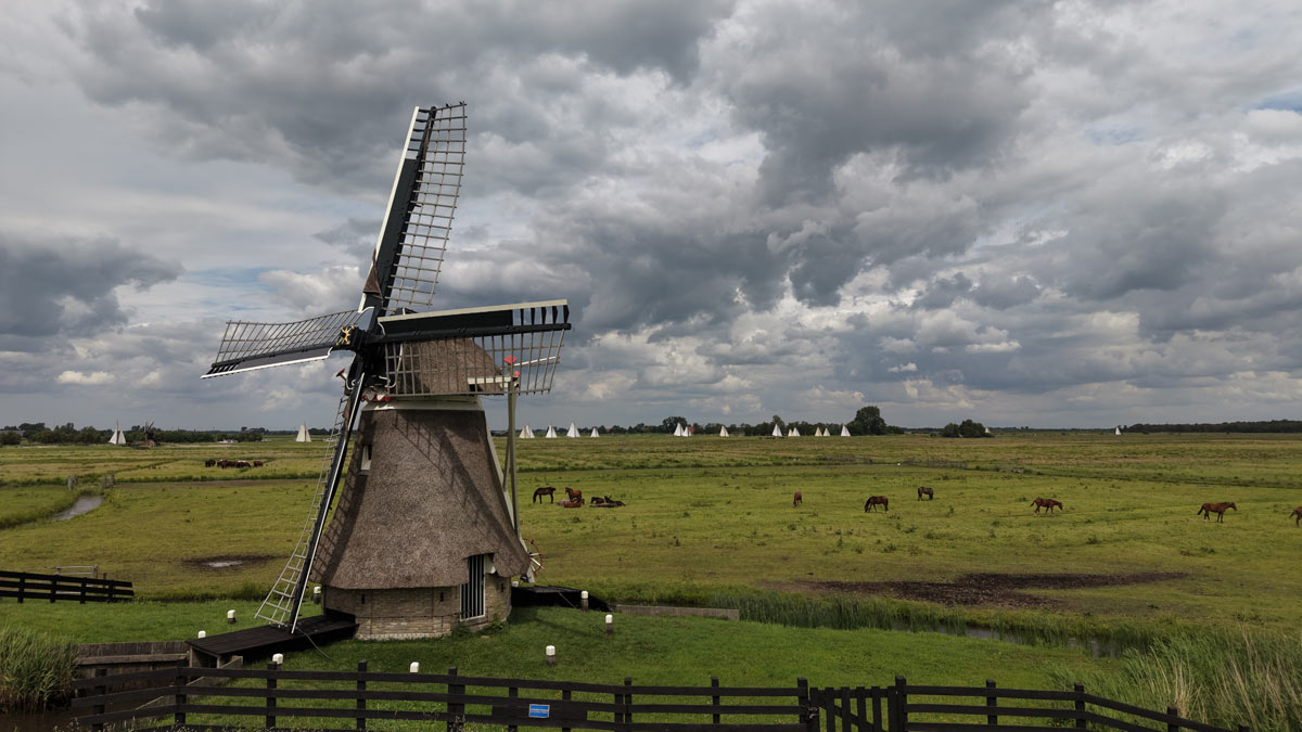 Word-je-chagrijnig-als-de-zon-niet-schijnt-