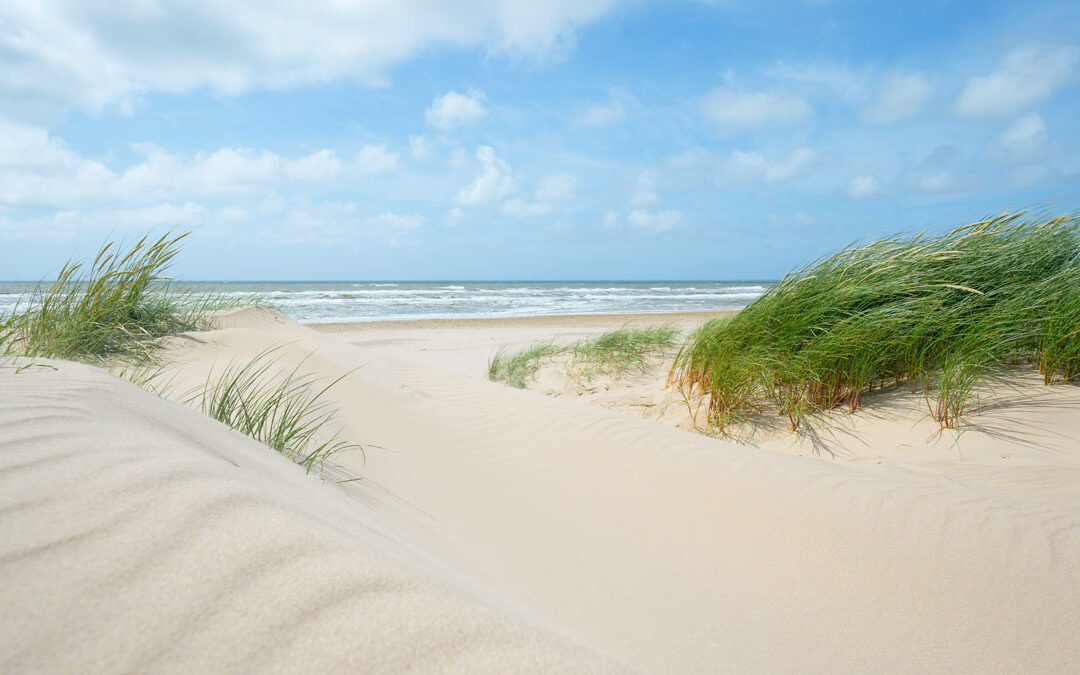 Dag 5: Wat is een vakantie zonder water?